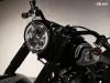 Harley-Davidson FLSTC Thumbnail 4